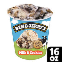 Ben & Jerry's Ice Cream Pint, 16 Ounce