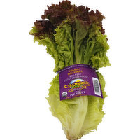 Produce Lettuce, Red Leaf, Organic, 1 Each