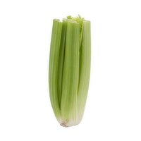 Fresh Celery Bunch