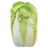 Fresh Napa Cabbage, 1 Pound