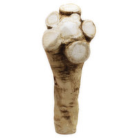 Produce Horseradish Root, 0.5 Pound