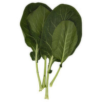 Produce Lettuce, Bibb Flat Round, 6 Ounce