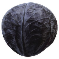 Produce Cabbage, Red, 2.5 Pound