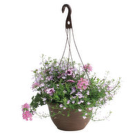 Cub Floral 10" Hanging Basket with Annuals, 1 Each