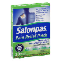 Salonpas Pain Relief Patch, Minty Scent, 20 Each