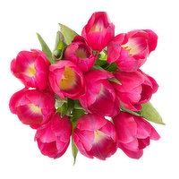 Cub Tulips Bunch, 10 Stem, 1 Each