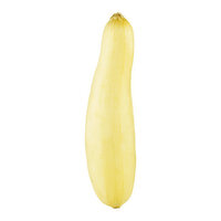 Produce Yellow Zucchini Squash, 1 Pound