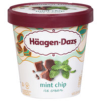 Haagen-Dazs Ice Cream, Mint Chip, 14 Fluid ounce