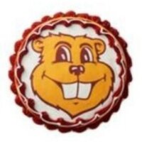 Cub 8" Minnesota Gophers Cake, 1 Each