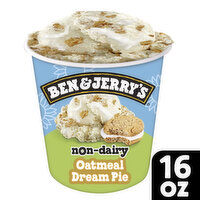 Ben & Jerry's Non-Dairy, 16 Ounce