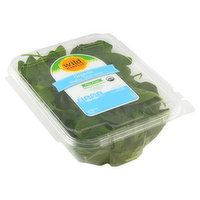 Wild Harvest Spinach, Organic, Baby