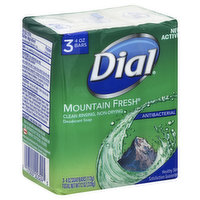 Dial Soap, Deodorant, Antibacterial, Mountain Fresh, 3 Each