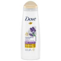 Dove Shampoo, Lavender & Volume, 12 Fluid ounce