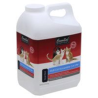 Essential Everyday Cat Litter, Scoopable, Multi-Cat, Scented, 21 Pound
