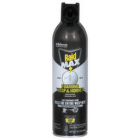 Raid Max Foaming Wasp & Hornet, 16 Ounce