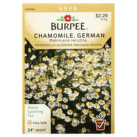 Burpee Seeds, Chamomile, German, 70 Milligram