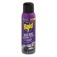 Raid Foaming Spray, Bed Bug, 16.5 Ounce
