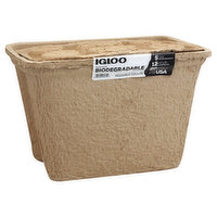 Igloo Reusable Cooler, 1 Each