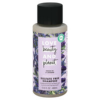 Love Beauty & Planet Shampoo, Argan Oil & Lavender, 13.5 Ounce