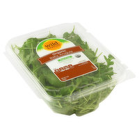 Wild Harvest Arugula, Organic, Baby, 5 Ounce