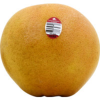 Fresh Grapefruit, 1 Each