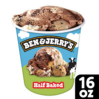 Ben & Jerry's Ice Cream Pint, 16 Ounce