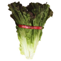 Fresh Red Leaf Lettuce, 1 Each