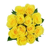 Cub Dozen Yellow Roses, 1 Each