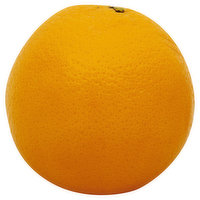 Produce  Sunkist Orange, Organic, Navel