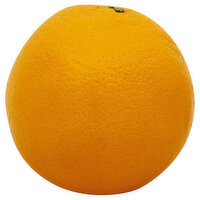 Produce  Sunkist Orange, Organic, Navel