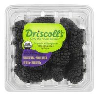 Driscoll's Organic Blackberries