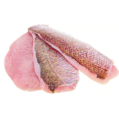 Cub Red Snapper Fillet