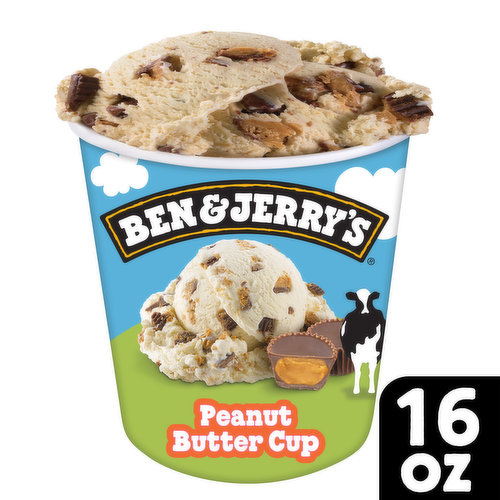 Ben & Jerry's Ice Cream Pint