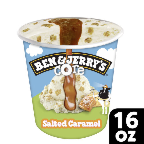 Ben & Jerry's Salted Caramel Sweet Cream Ice Cream Pint