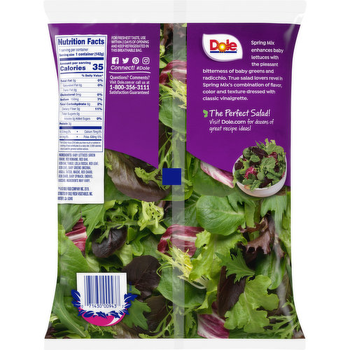 Spring Mix Lettuce Information  Learn About Spring Mix Lettuce