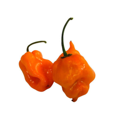 Fresh Habanero Pepper