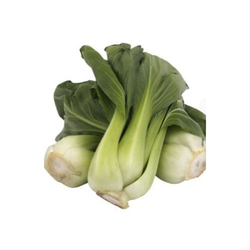 Fresh Bok Choy