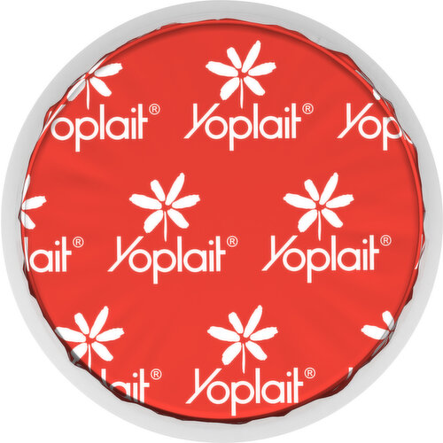 Yoplait Original Low Fat Key Lime Pie Yogurt