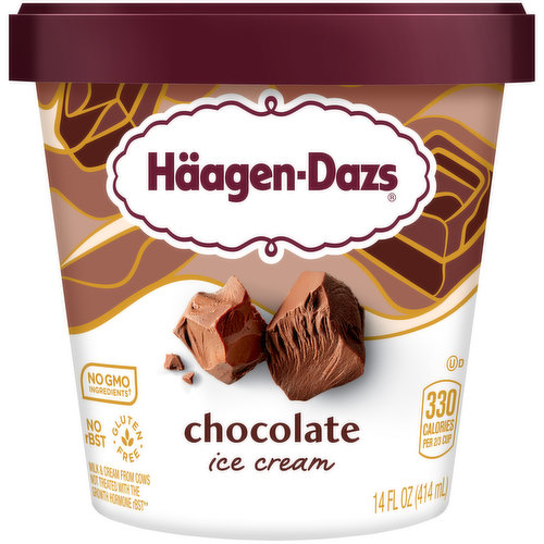 Haagen Dazs Chocolate Ice Cream