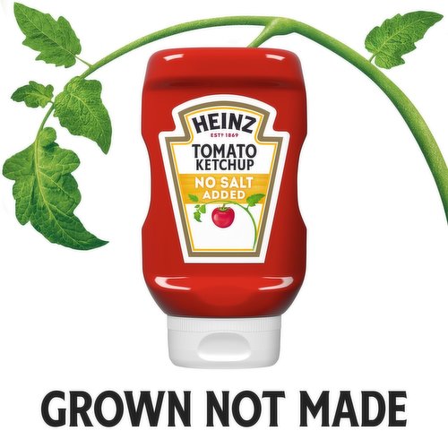 Heinz Tomato Ketchup with No Salt Added