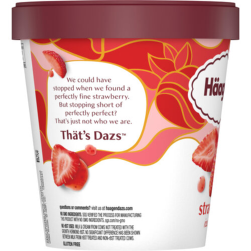 Haagen-Dazs Ice Cream, Strawberry