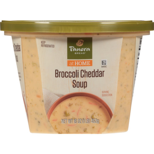 Panera Bread Broccoli Cheddar Soup, 16 OZ Soup Cup 16 oz, Deli