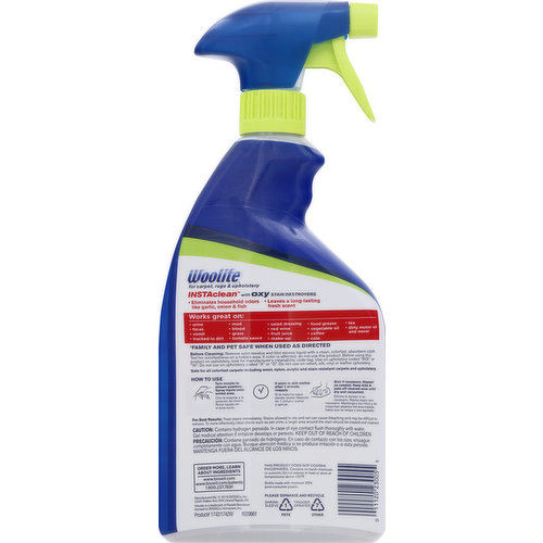 Woolite InstaClean 22 oz. Pet Stain Remover