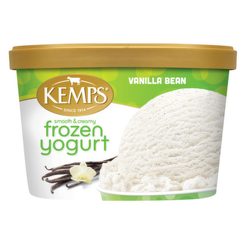 Kemps Vanilla Bean Frozen Yogurt