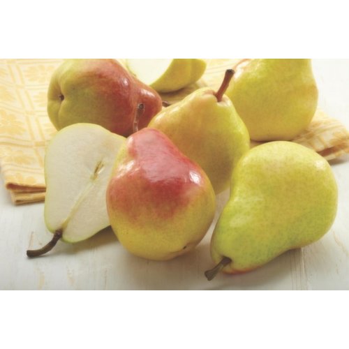 Pears - Bosc: 1 lbs