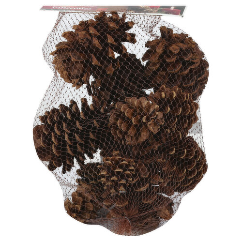 Gonesh Holiday Homecoming Pinecones, Cinnamon Scented