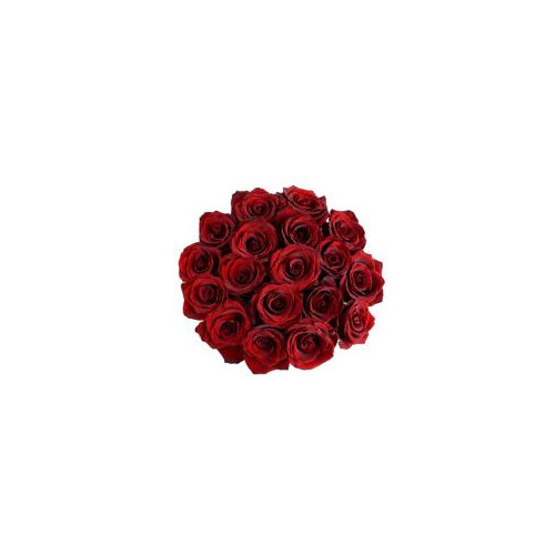 Cub 18 Stem Premium Euro Cut Roses