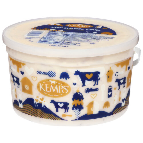 Kemps Chocolate Chip Ice Cream
