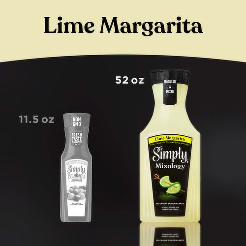 Mixology Made Simple