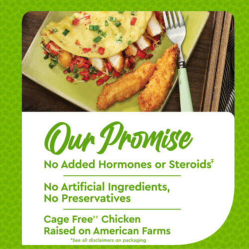 Just Bare® Lightly Breaded Chicken Breast Strips